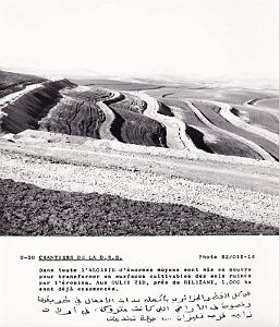 Algerie propagande 051